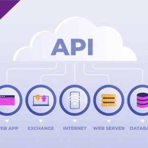 Premium API Access – 30 Days