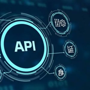 Premium API Access